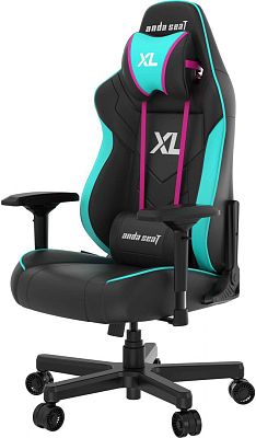 Компьютерное кресло AndaSeat Excel Edition (AD19-07-BSV-PV)
