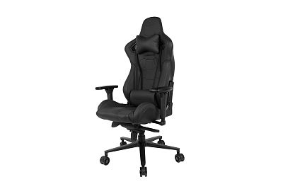 Компьютерное кресло AndaSeat Dracula (AD14-03-B-L/C-B01)